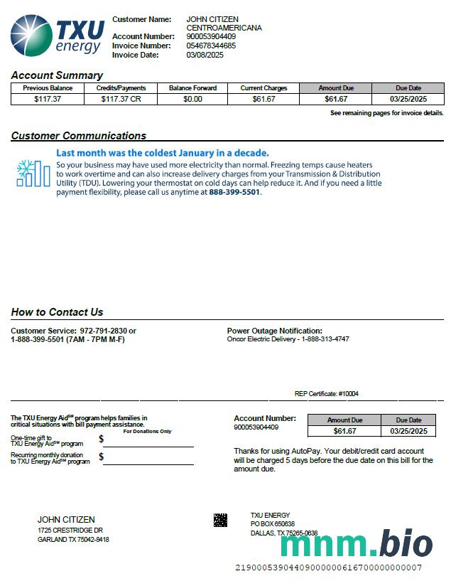 Szablon rachunku za media energetyczne USA TXU w formatach Word i PDF, Wersja 4